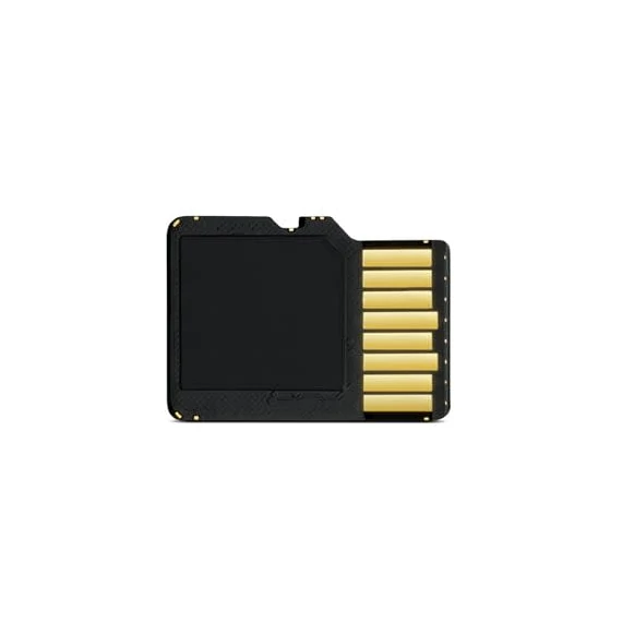 Garmin 16 GB microSD™ Class 10 Card with SD Adapter (for DualWiew)
